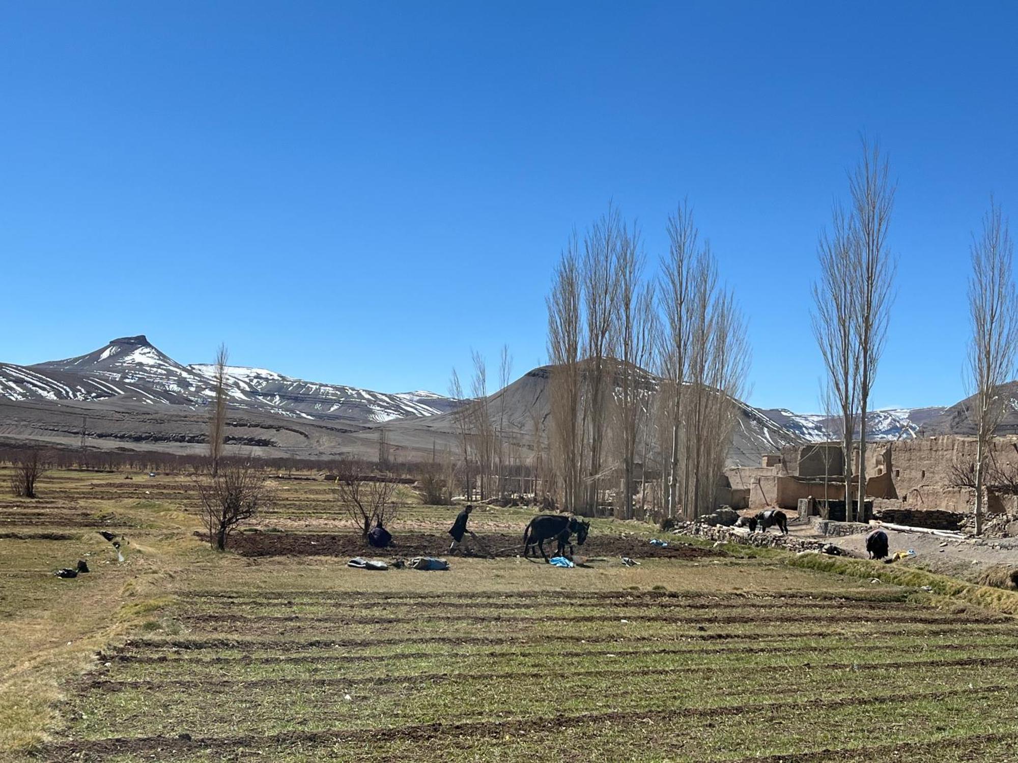 Auberge & Restaurant Agoudal Dış mekan fotoğraf